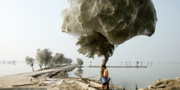 Beeld van Humanity House Klimaatverandering bedreigt wereldvrede