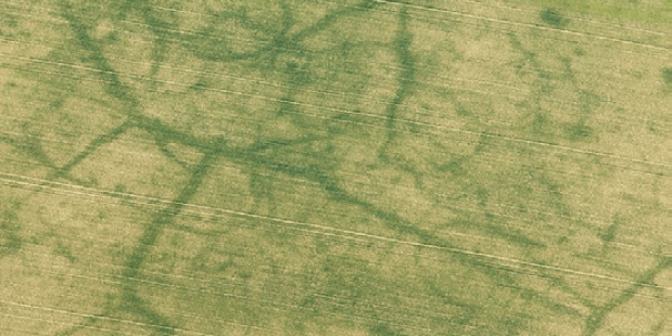 Droogte kans voor archeologen Droogte kans voor archeologen