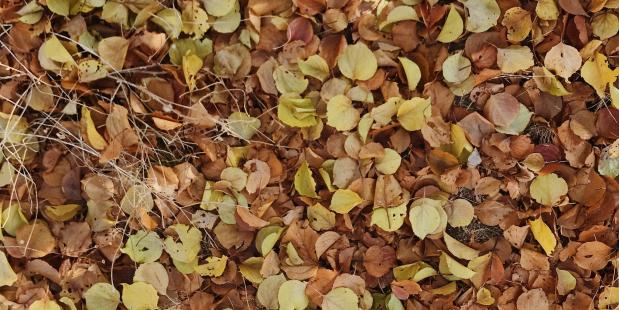 herfst klimaat nederland