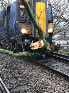 Omgewaaide boom in Engeland