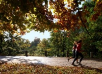 Hardlopen in de herfst