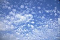 Altocumulus