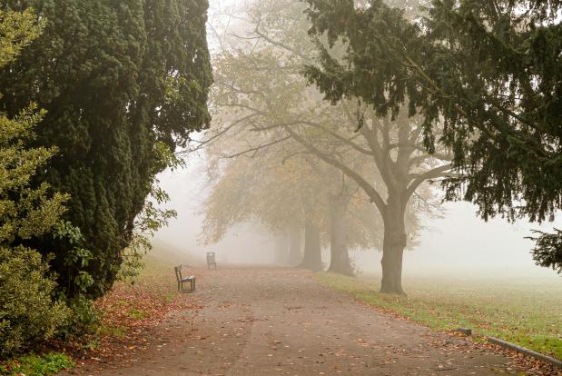 Juist bij rustig herfstweer is de kans op mist groot. Foto Monika Kubala via Unsplash