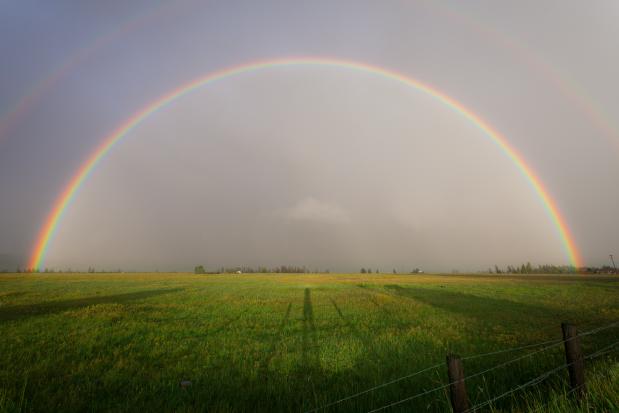 Regenboog