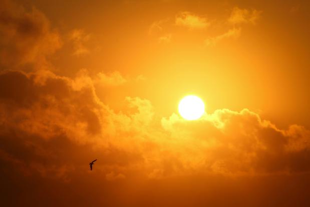Zomer
