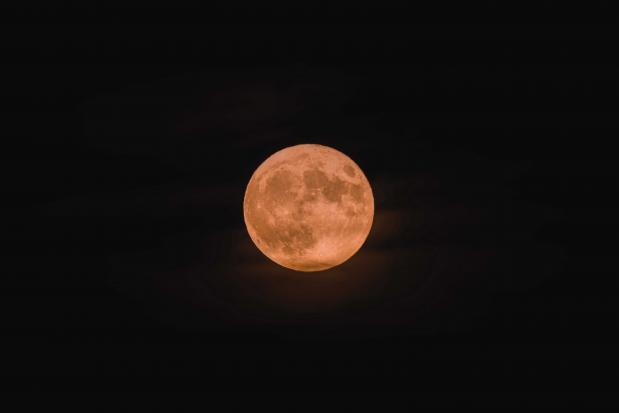 Foto via Pexels