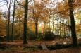 herfstweer in Nederland