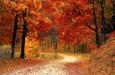 Fall